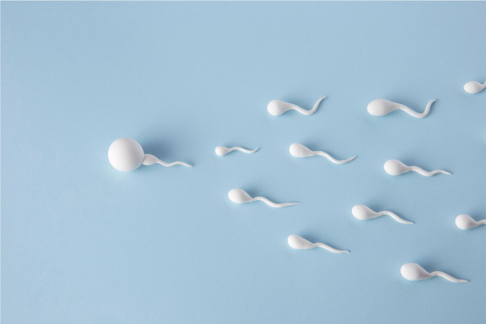 Symptoms of Low Sperm Count and Effective Treatment Options